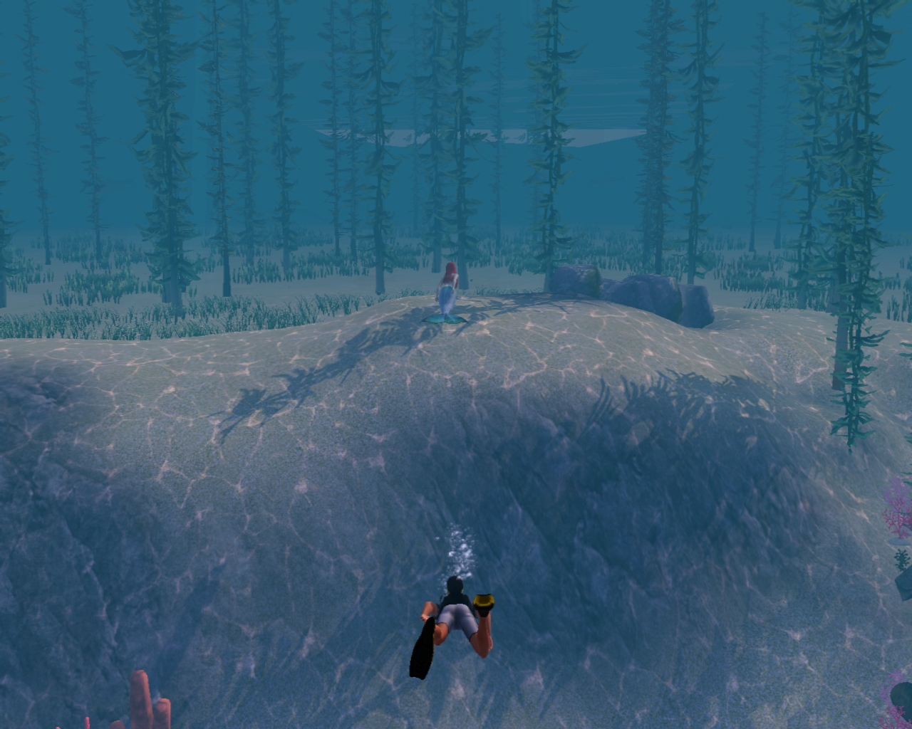 Following a mermaid underwater