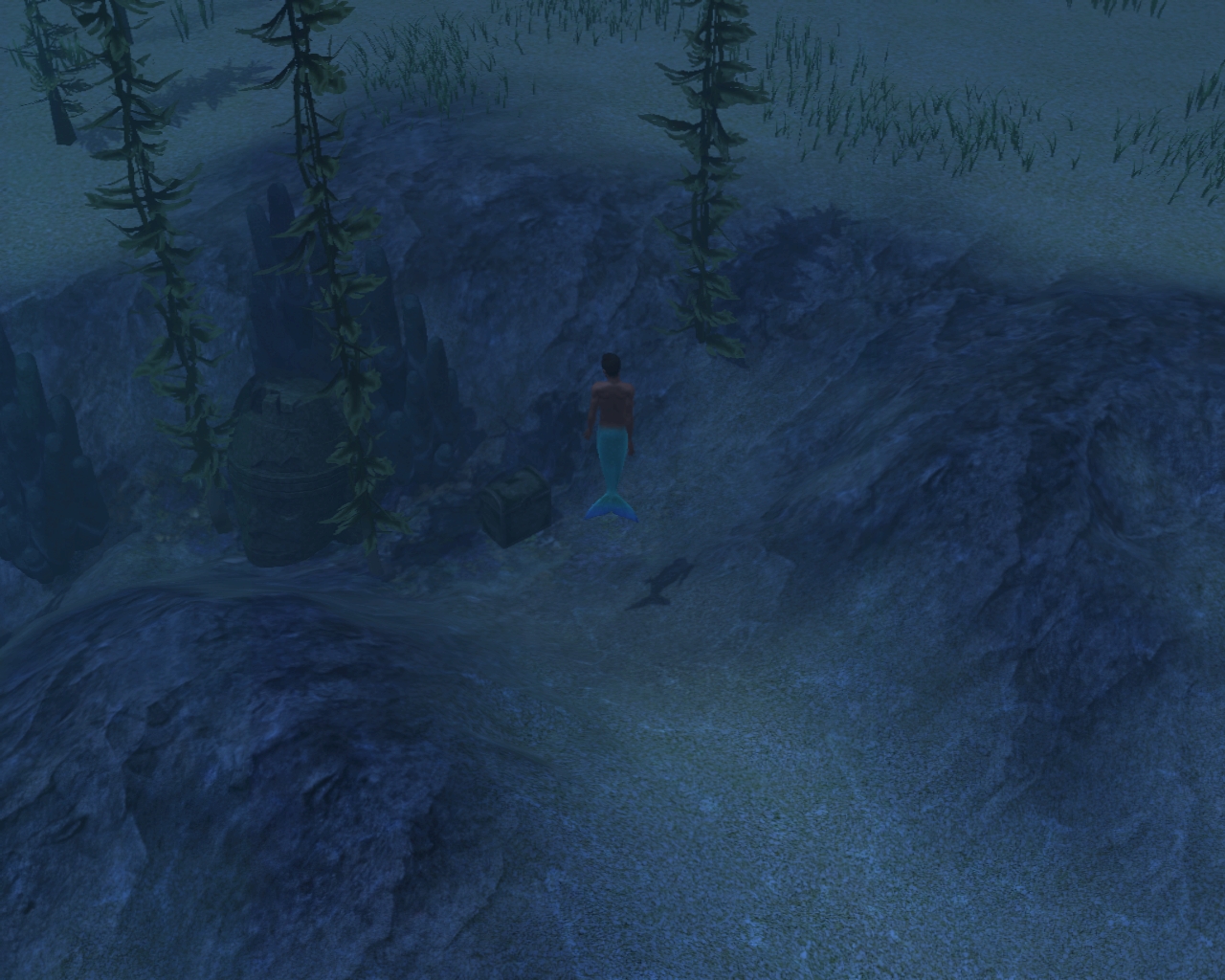 Mermaid underwater at dive site