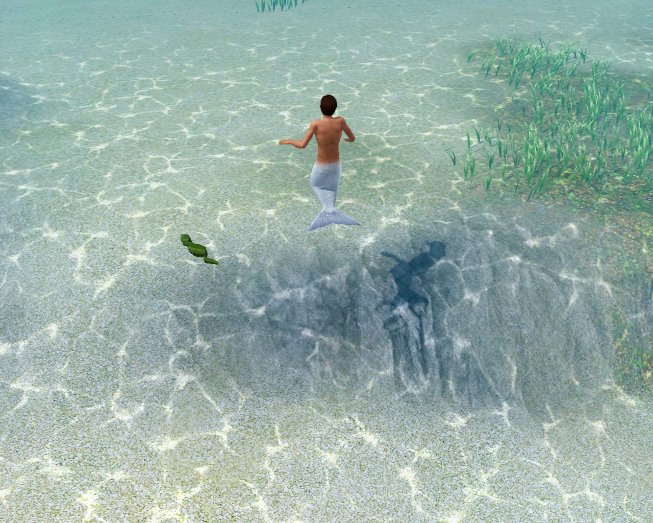 Teen mermaid underwater at dive site