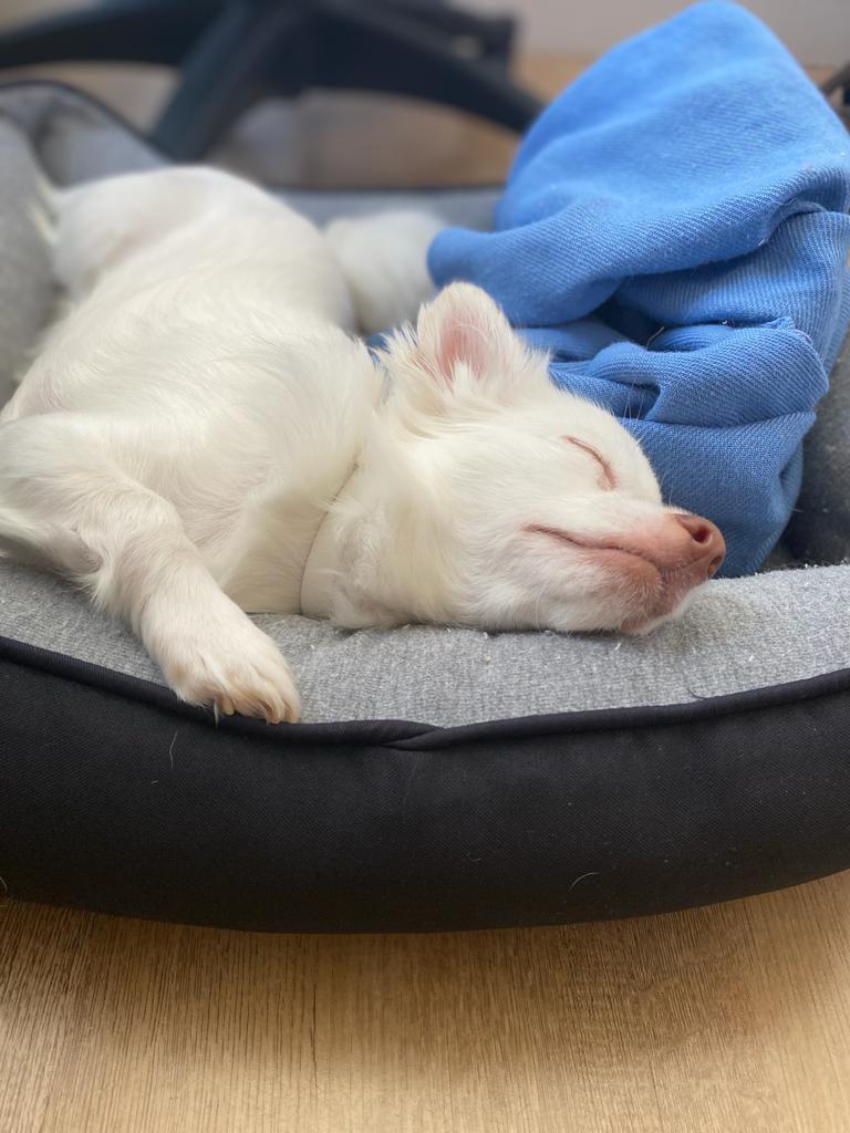 Mourner Prc Github - Best Ocean Pictures in 8K