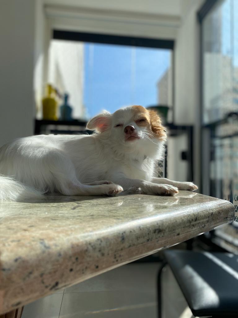 Mourner Prc Github - Download Gorgeous Abstract Photo | HD