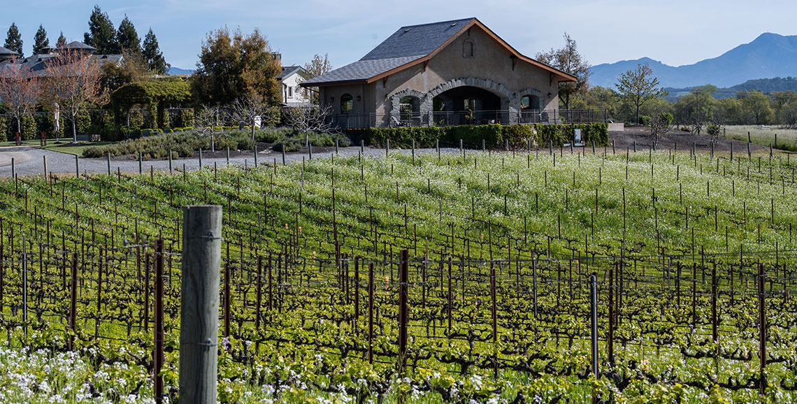 Image of a winery at the Start Today Wellness Retreat.