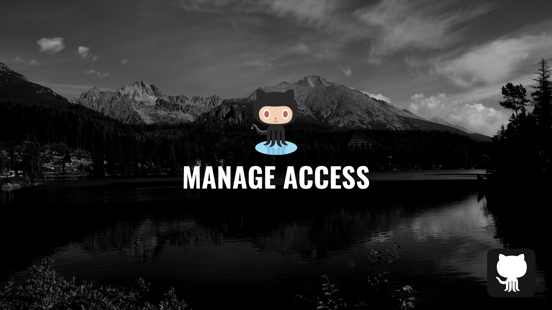 How to Allow Others to Work on Your Repo in GitHub - Manage Access Github image