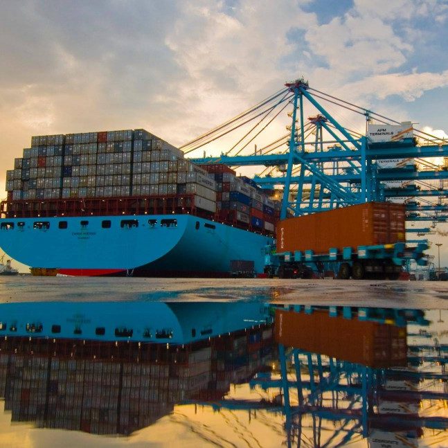 APM-Terminals_Terminal