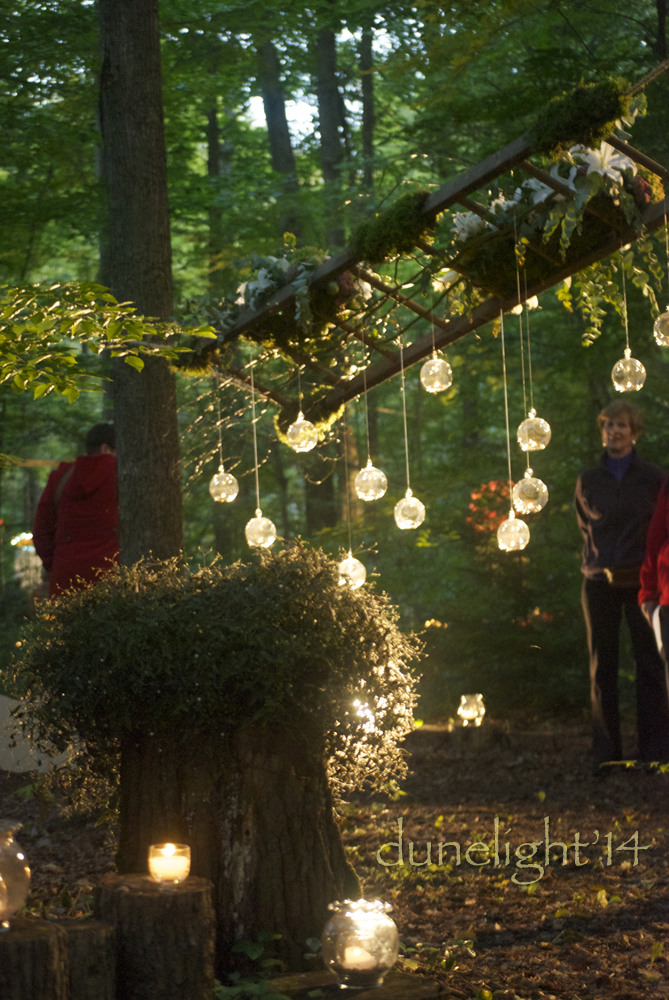 DSC_0112Interlude copy