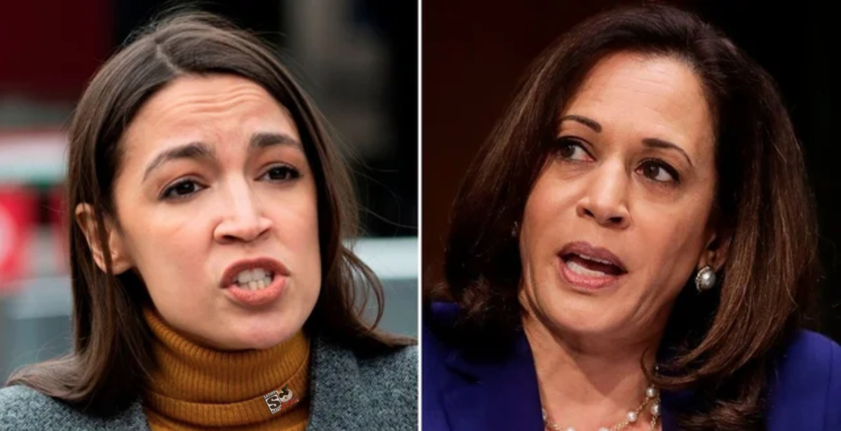 Cat Fight Breaks Out Between AOC and Kamala Harris in Congress