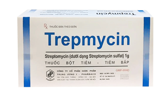 Trepmycin 1g lọ 7ml TW1