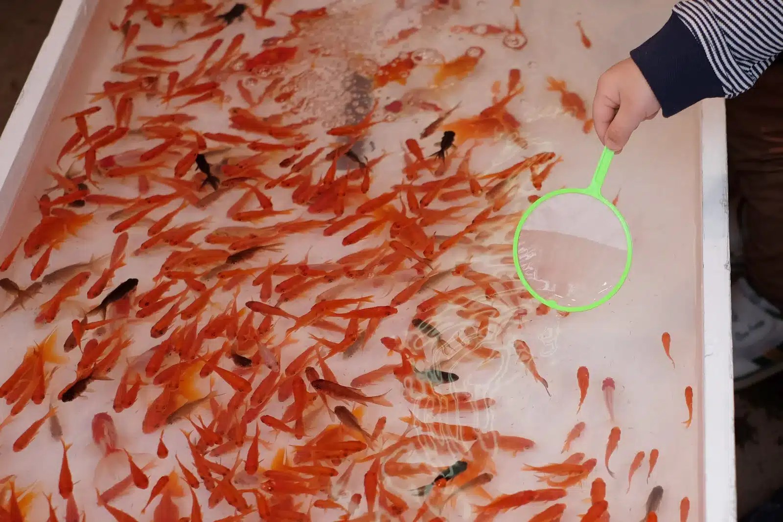捕魚機是什麼