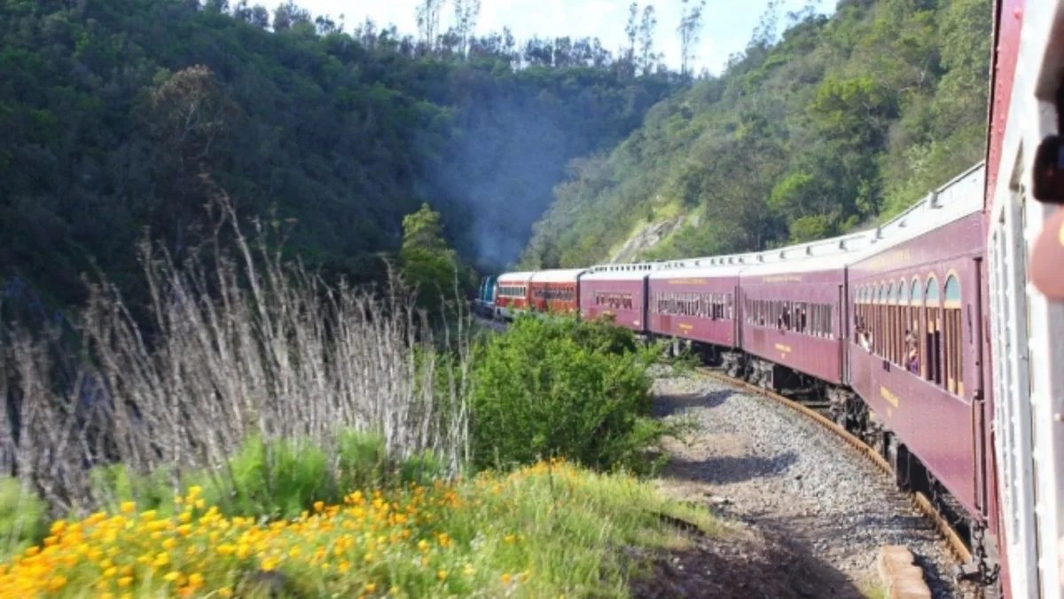 ¿Viajar en un vagón con sofás o en uno de madera? Conoce las clases del Tren del Recuerdo » DUPLOS.CL