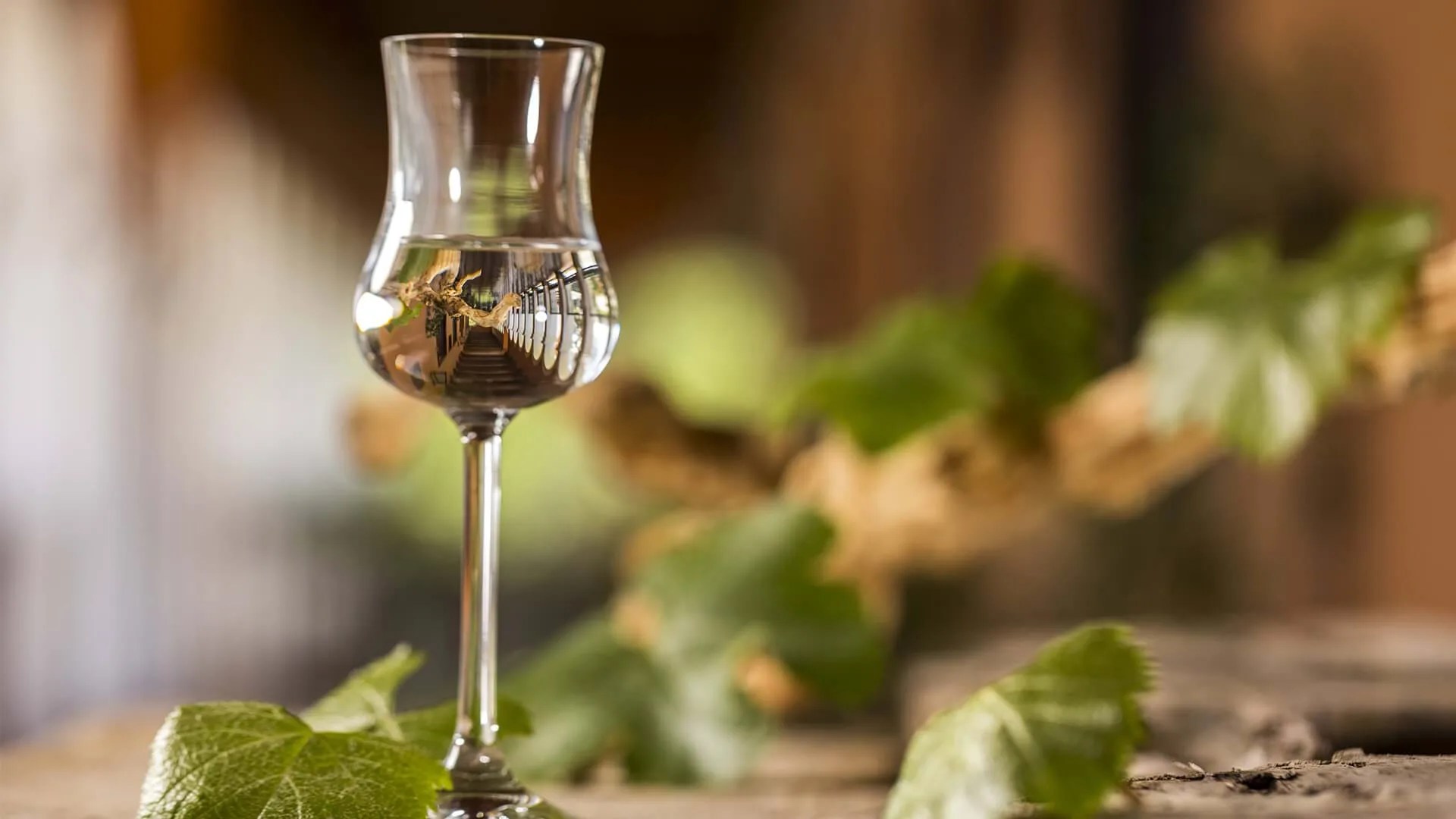 “Puro Pisco” llega al Mercado Urbano Tobalaba con más de 30 expositores y entrada gratuita » DUPLOS.CL