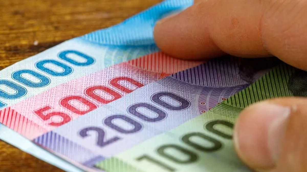 requisitos y cómo realizar el trámite
