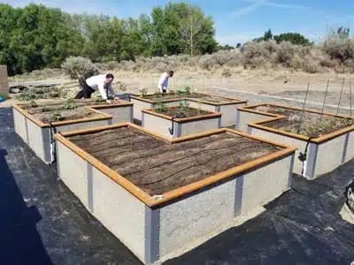 Discover how to make the best use of your raised beds. Raised Garden Bed Kit Non Toxic Durable Greenbed