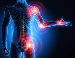 The Language of Your Body – Understanding Inflammation