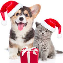 PET PAWS AND SANTA CLAUSE SAT., DEC. 17, 2022