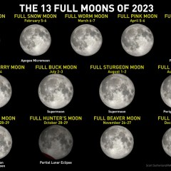 Eyes to the sky this week to see the super-rare Perigee Blue Moon