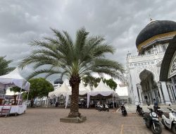 Besok, Masjid Besar Bujang Salim Krueng Geukueh Gelar Maulid Nabi, Abu Paya Pasi Isi Tausiah