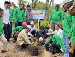 Dukung Ekonomi dan Penghijauan, PT PIM Resmikan Pilot Project Kampung Mangga di Paloh Lada