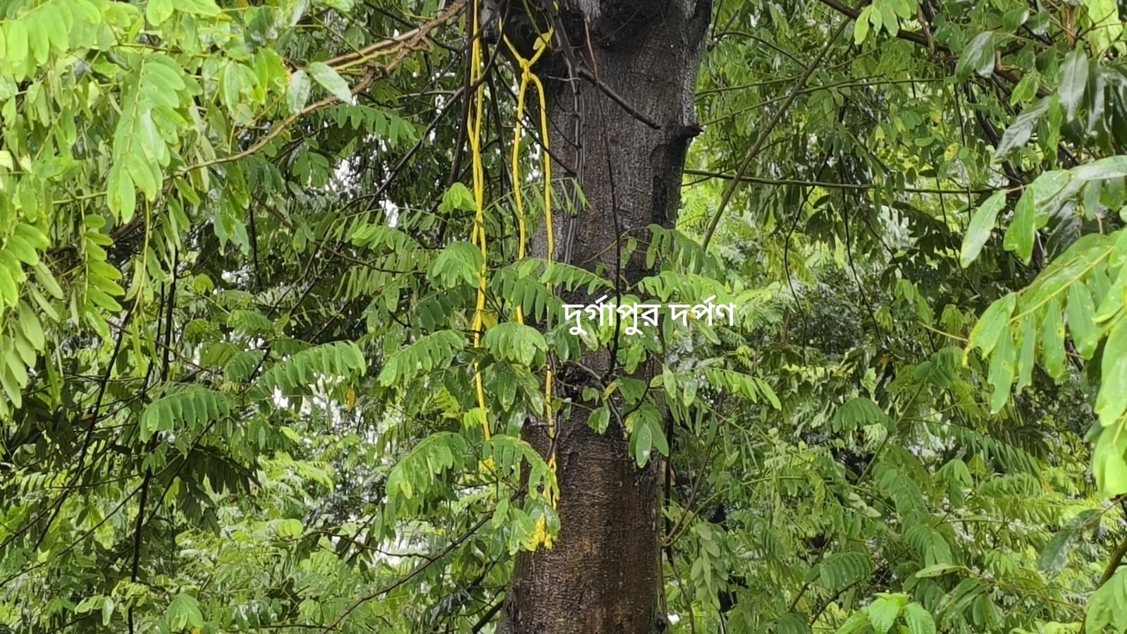 ভয়াবহ দৃশ্য দেখে আঁতকে উঠলেন স্থানীয়রা