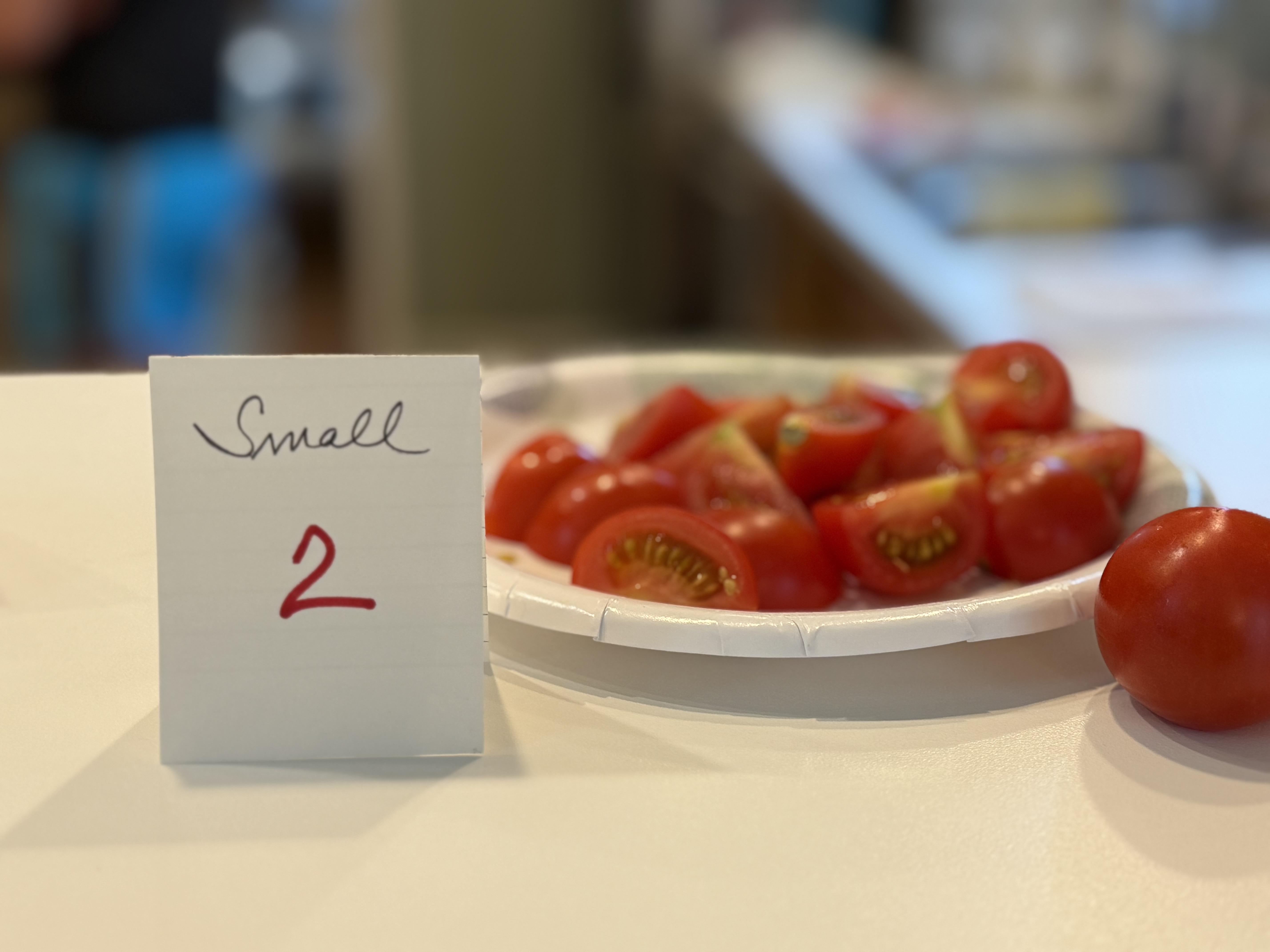 Seed Starters' 2025 Tomato Recommendations – Extension Master