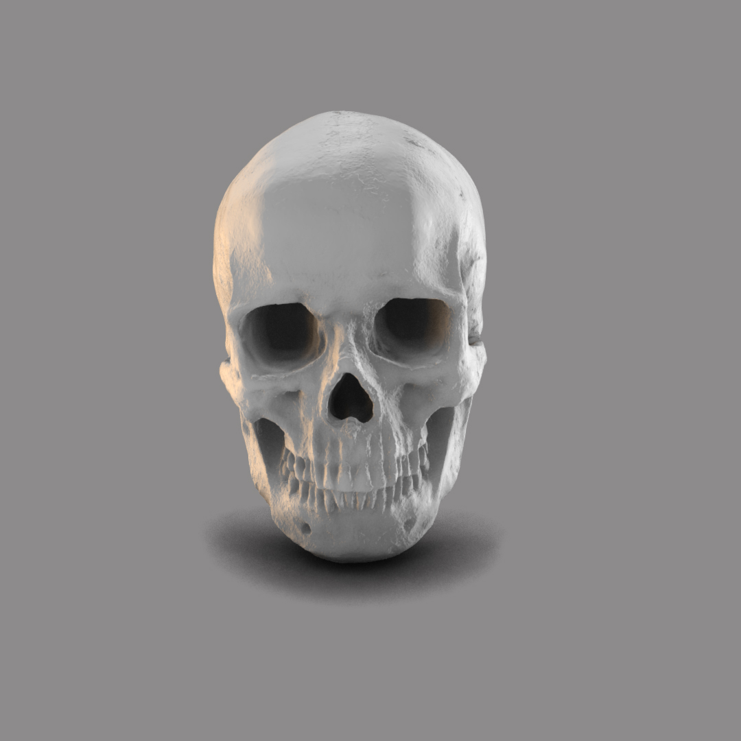 Basic Skull head for Mythic Legions - Mythic Legions - Dusk Till