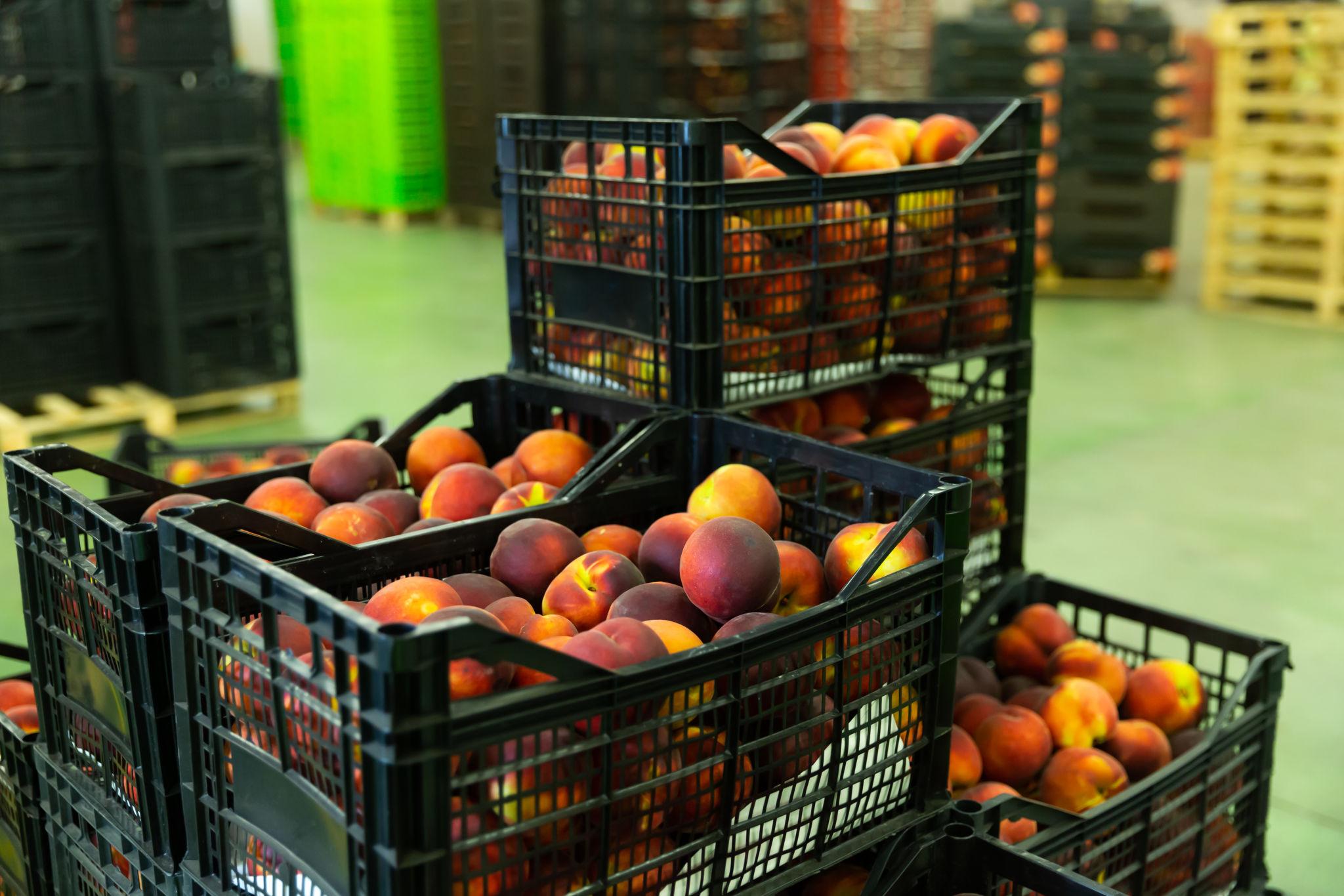 peaches