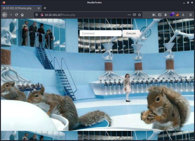 Tryhackme Chocolate Factory Writeup - Best Vintage Photos in High Resolution