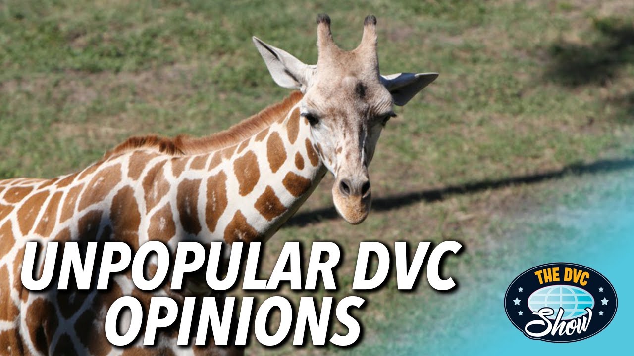 Unpopular DVC Opinions