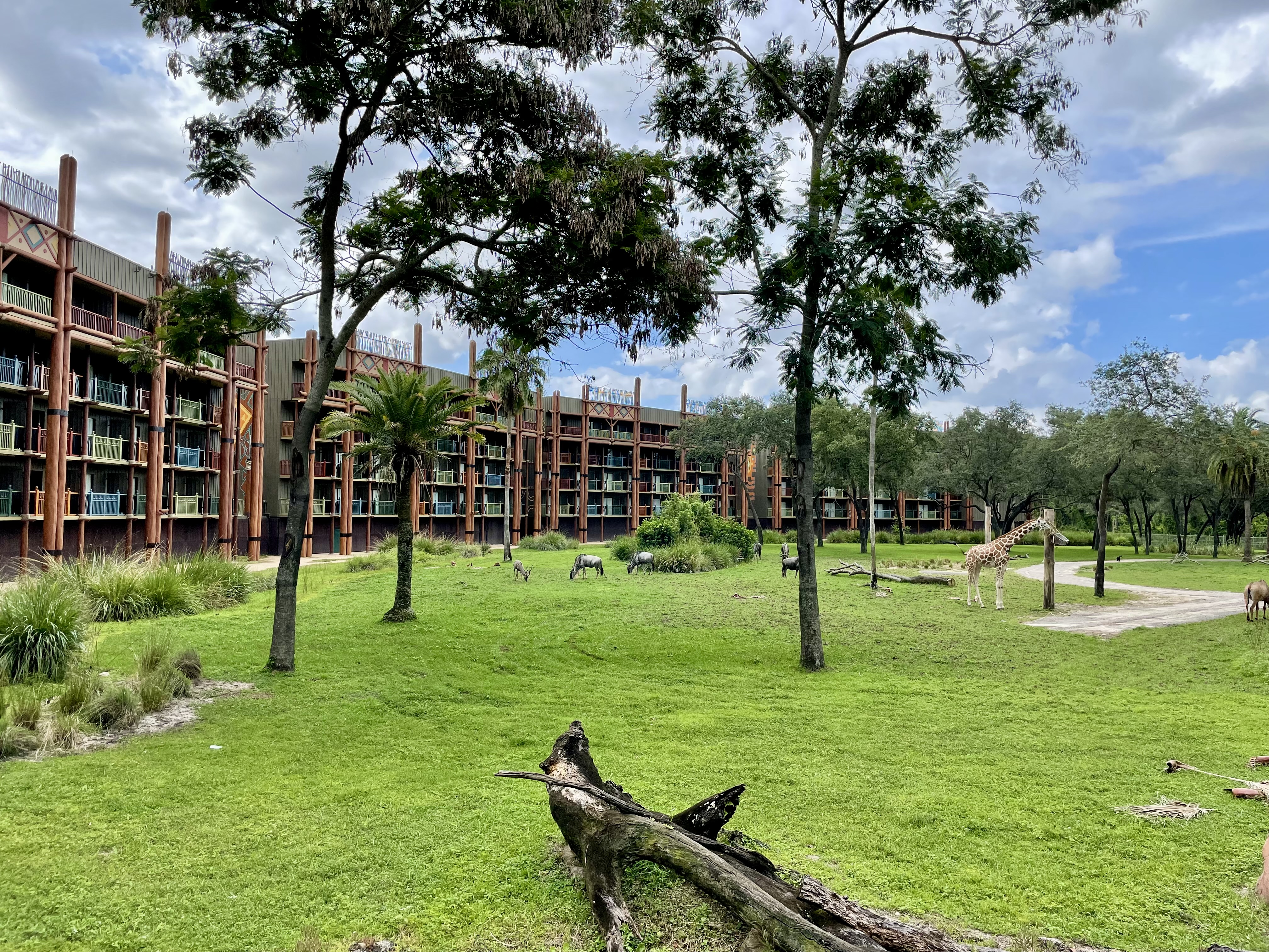 Animal Kingdom Lodge