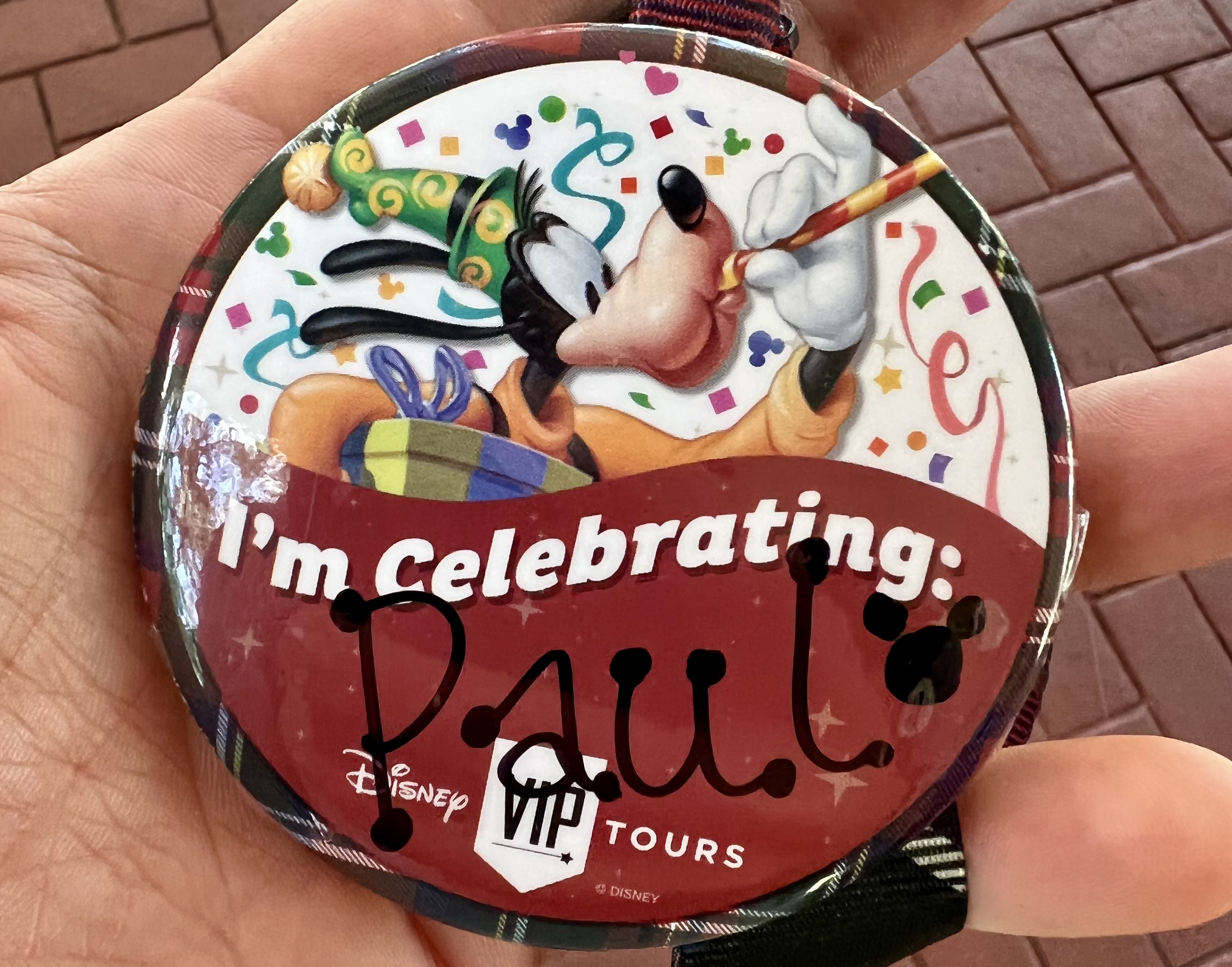 Disney World VIP Tour