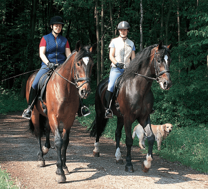 Learning to ride as an adult
