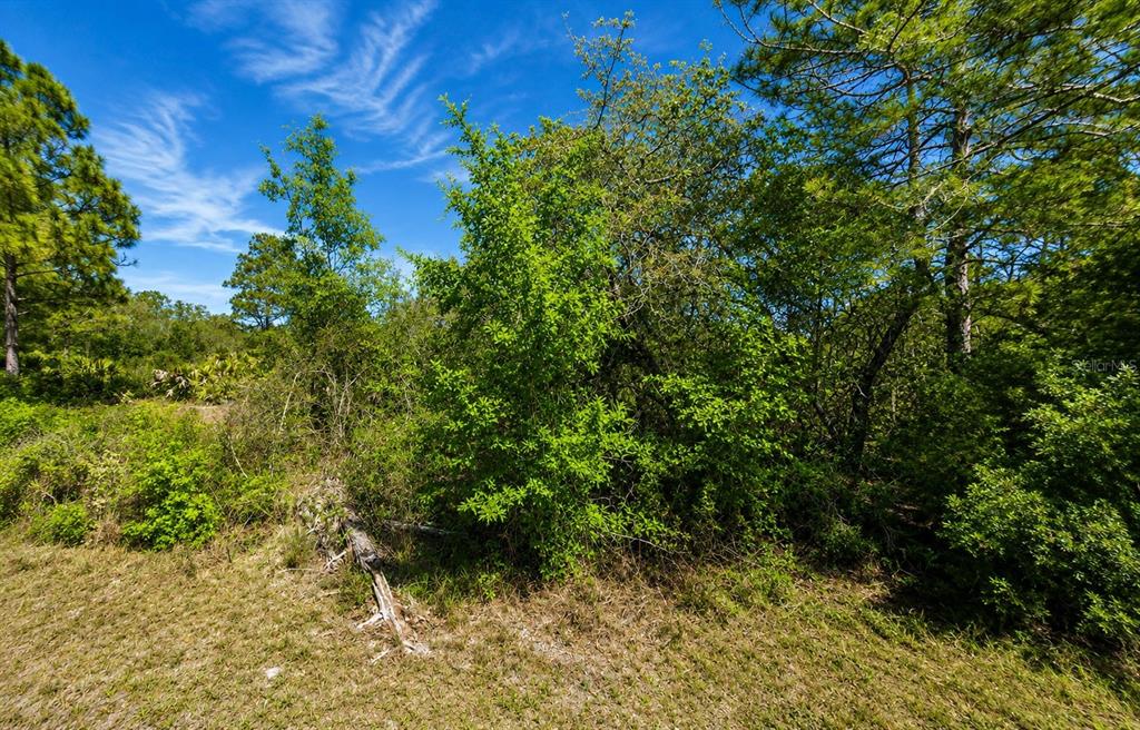 MLS #S5156124 image #0