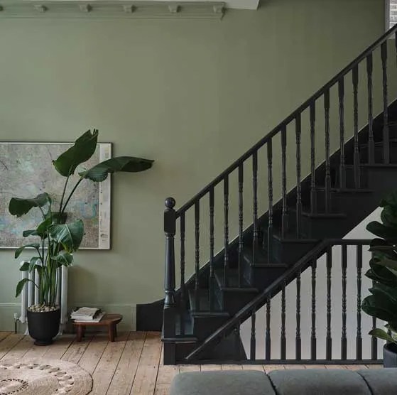 Green paint colors for living room showcasing a serene sage green wall color paired with black stairs, natural wood flooring, and large tropical plants creating an organic, modern entryway space.
