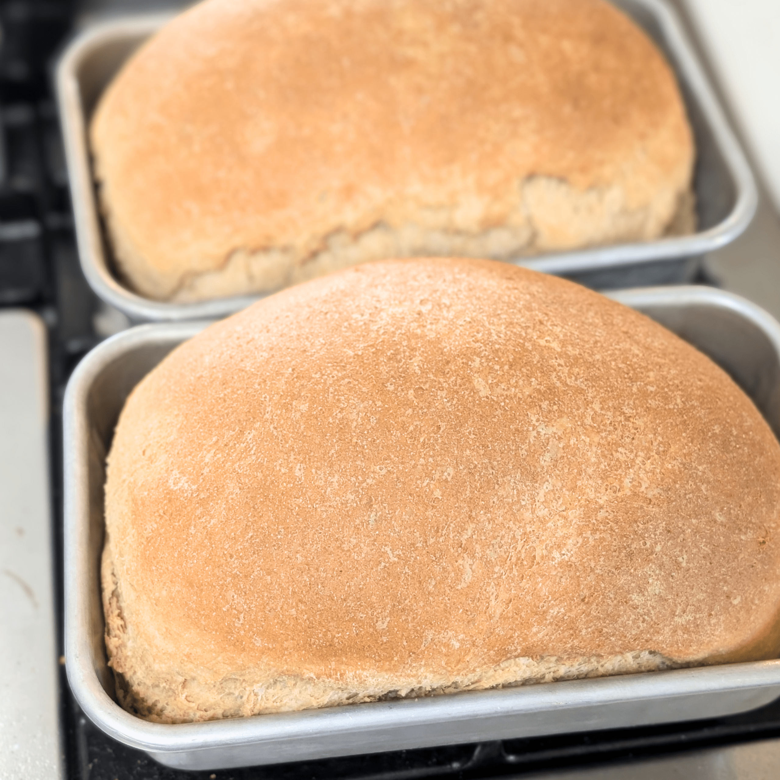 dwell with grace every day fresh milled sandwich bread