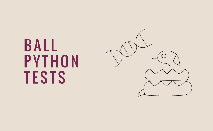 Ball Python Piebald Dna Test Minipcr Dx - Incredible High Resolution Gradient Backgrounds | Free Download