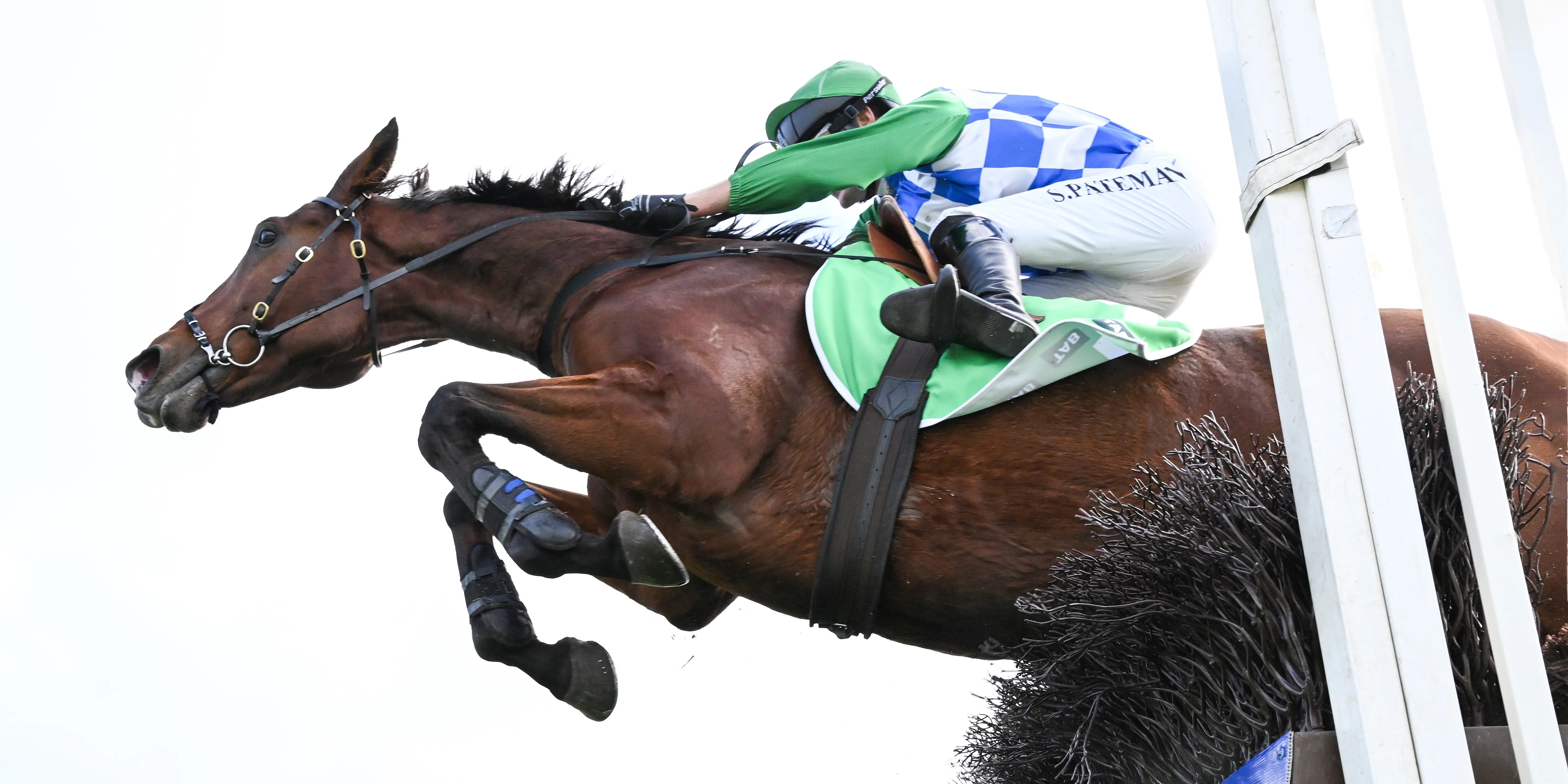 Stern Idol: The 75kg Horse That Defied the Odds to Win (2026)