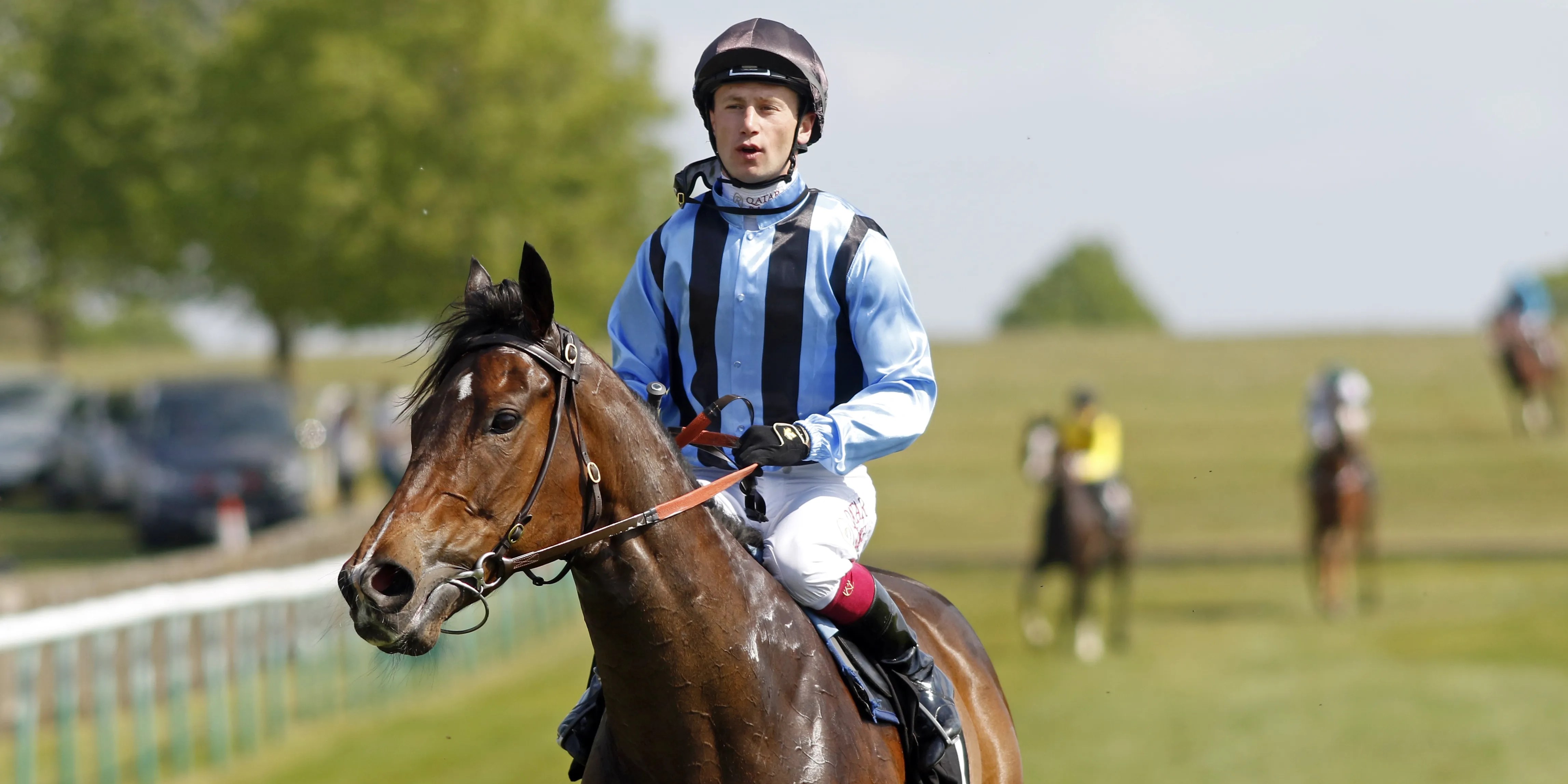 Asfoora's Final Race: A Swan Song at York (2026)