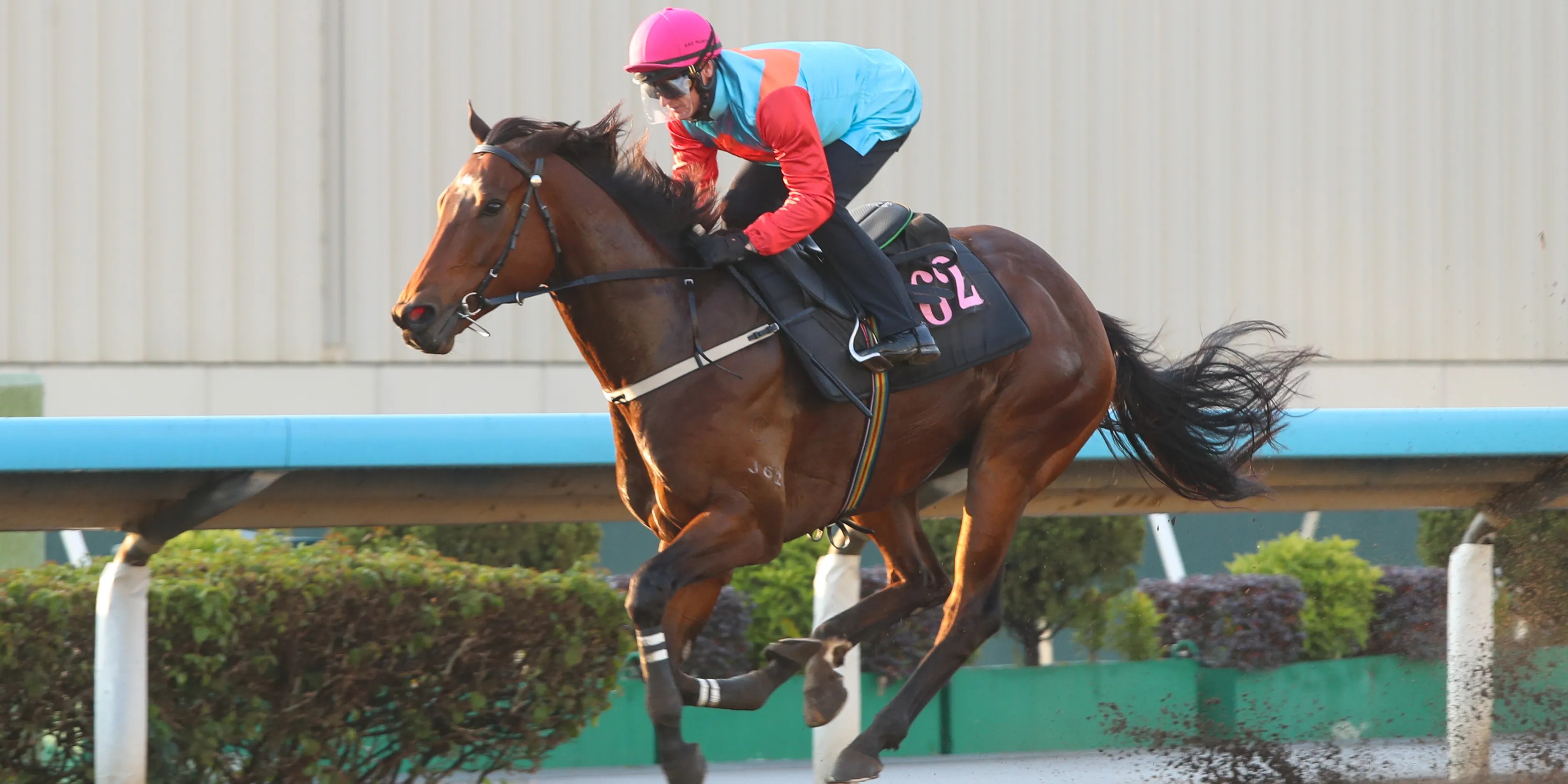 Ka Ying Rising's Quest for Destiny: Breaking the Magic 18 Barrier (2026)