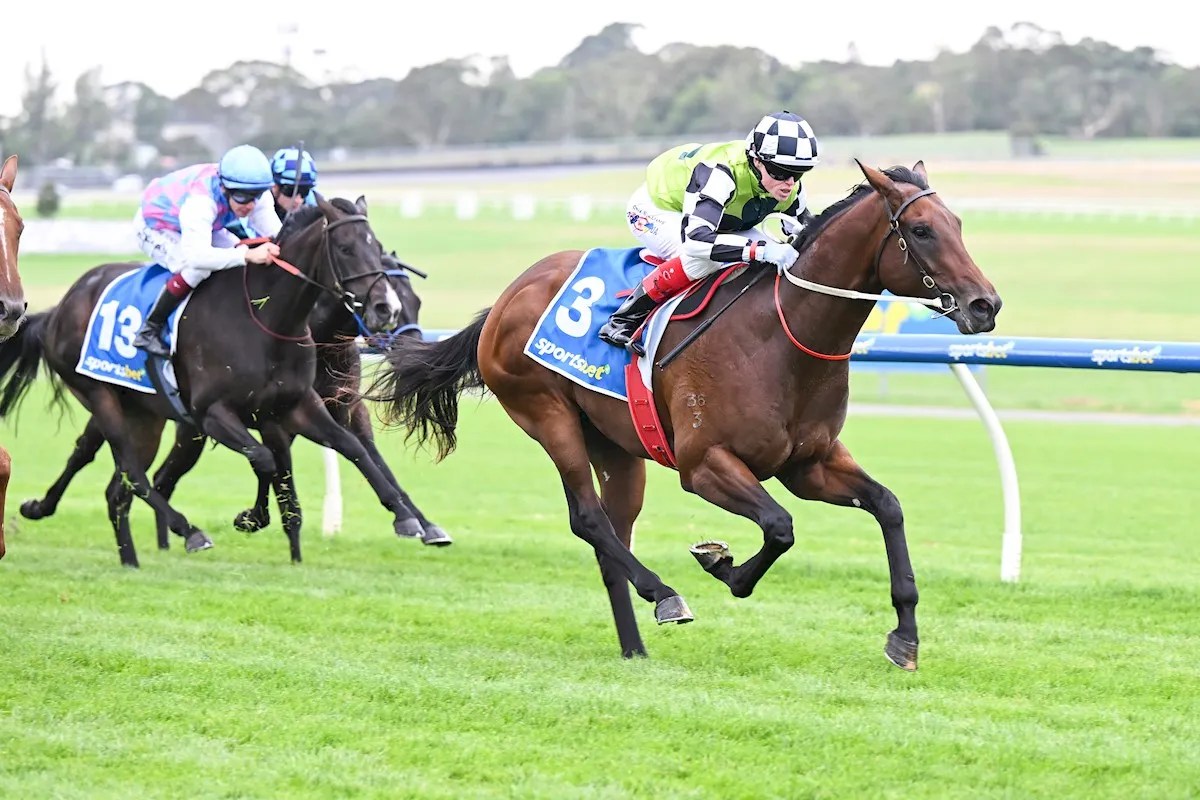 Mick Price's 'Pretty Good Horse': Buggsy's Rise to Racing Glory! (2026)