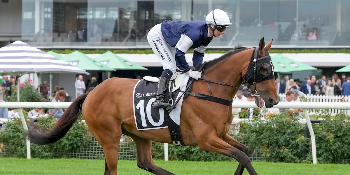 Newfoundland Targets Adelaide Cup After Australia Day Cup Win | Horse Racing Highlights (2026)