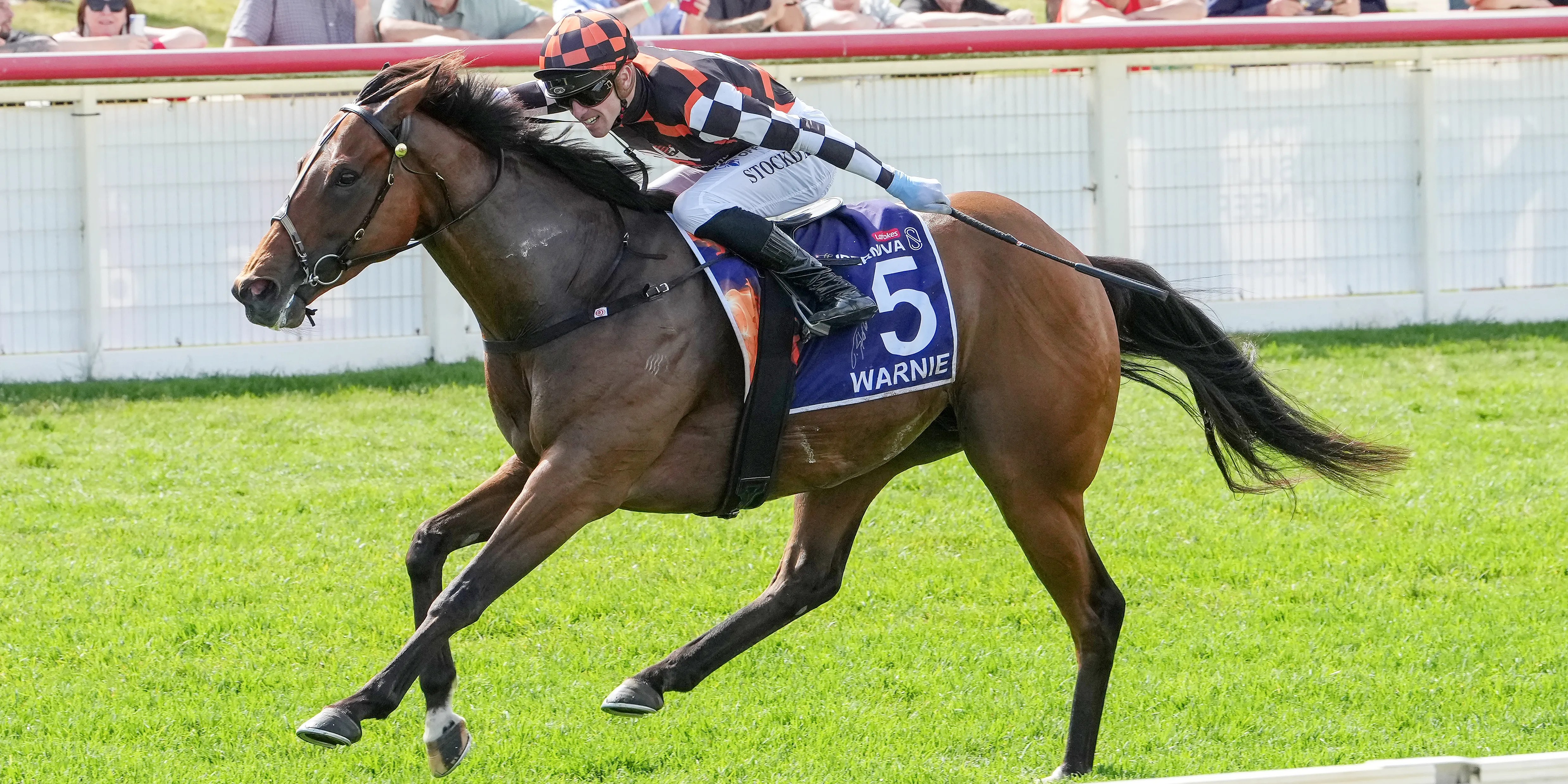 Brooke Warne Invests in Racehorse Warnie | Shane Warne's Daughter Joins Horse Racing (2026)