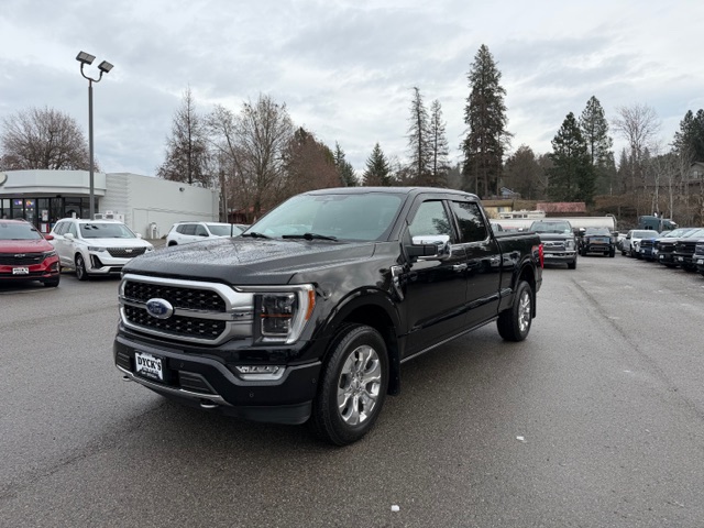 2023 Ford F-150 Platinum's photo