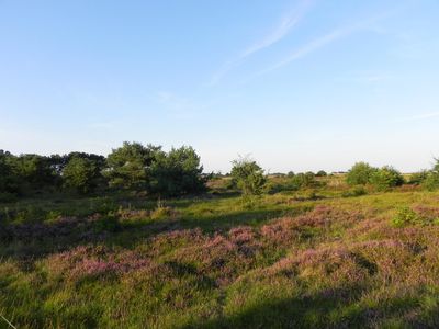 1 wohnzimmer, küche, bad/wc ca. Friesenhaus Amrum