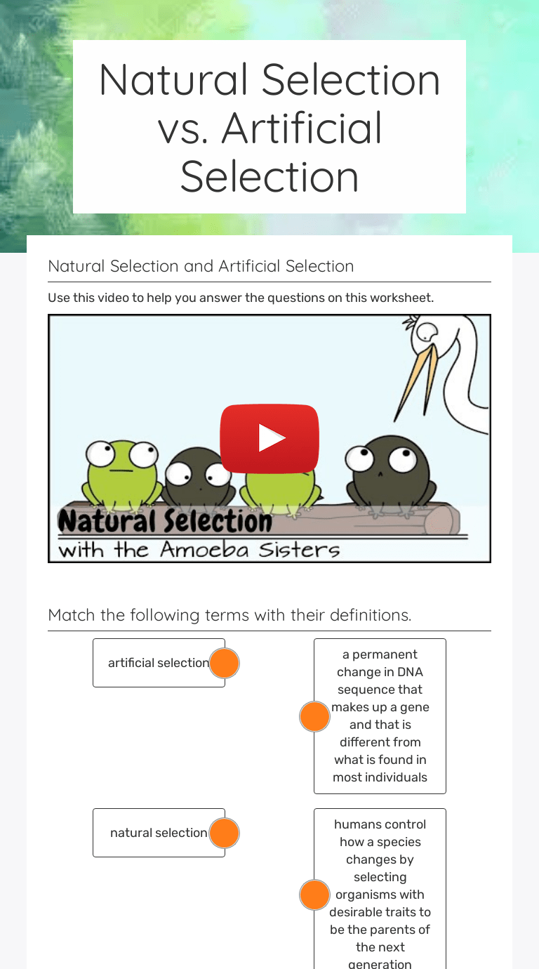Students write down an initial response on their worksheet. Natural Selection Vs Artificial Selection Interactive Worksheet By Andrea Harrison Wizer Me