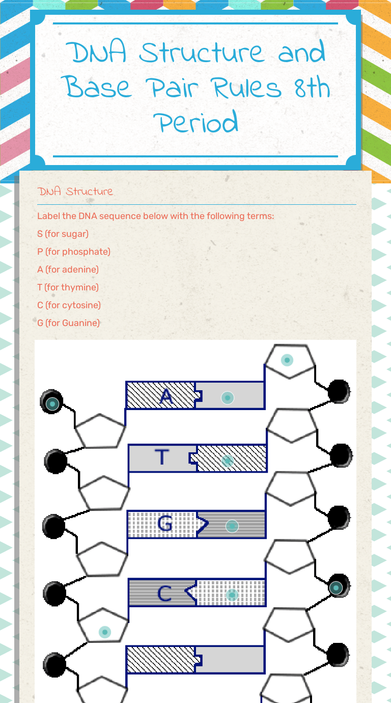 This is called complementary base pairs. Dna Structure And Base Pair Rules 8th Period Interactive Worksheet By Judy Franks Wizer Me