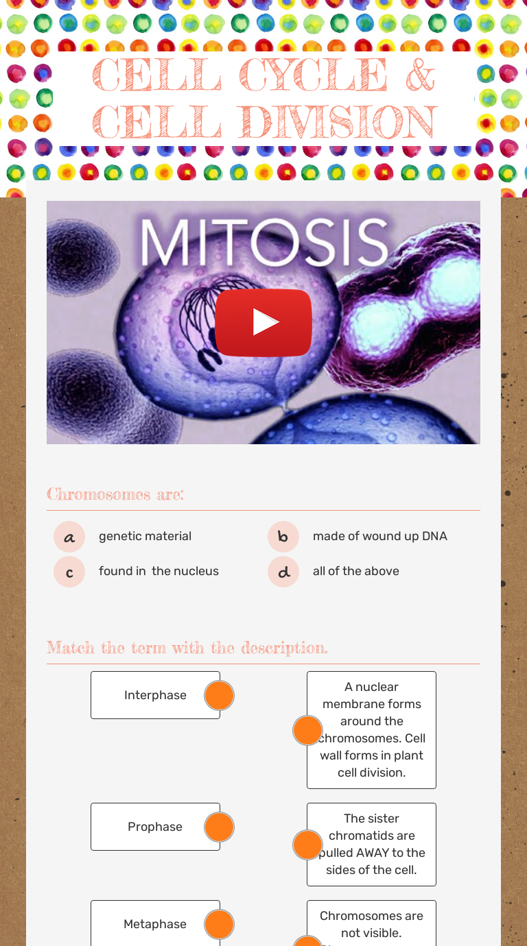 Here's an easy way to flag formulas in your worksheets. Cell Cycle Cell Division Interactive Worksheet By Kristina Mueller Wizer Me
