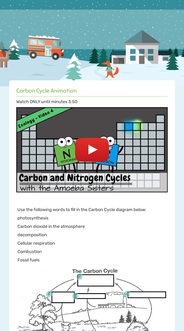 The carbon cycle