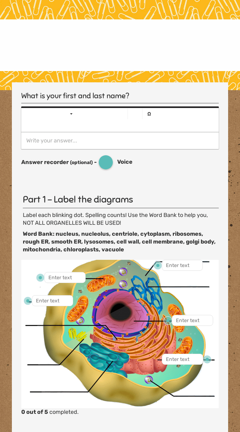 Mitochondria and chloroplasts contain small dna molecules. Cell Organelles Interactive Worksheet By Aundrea Balestrieri Wizer Me