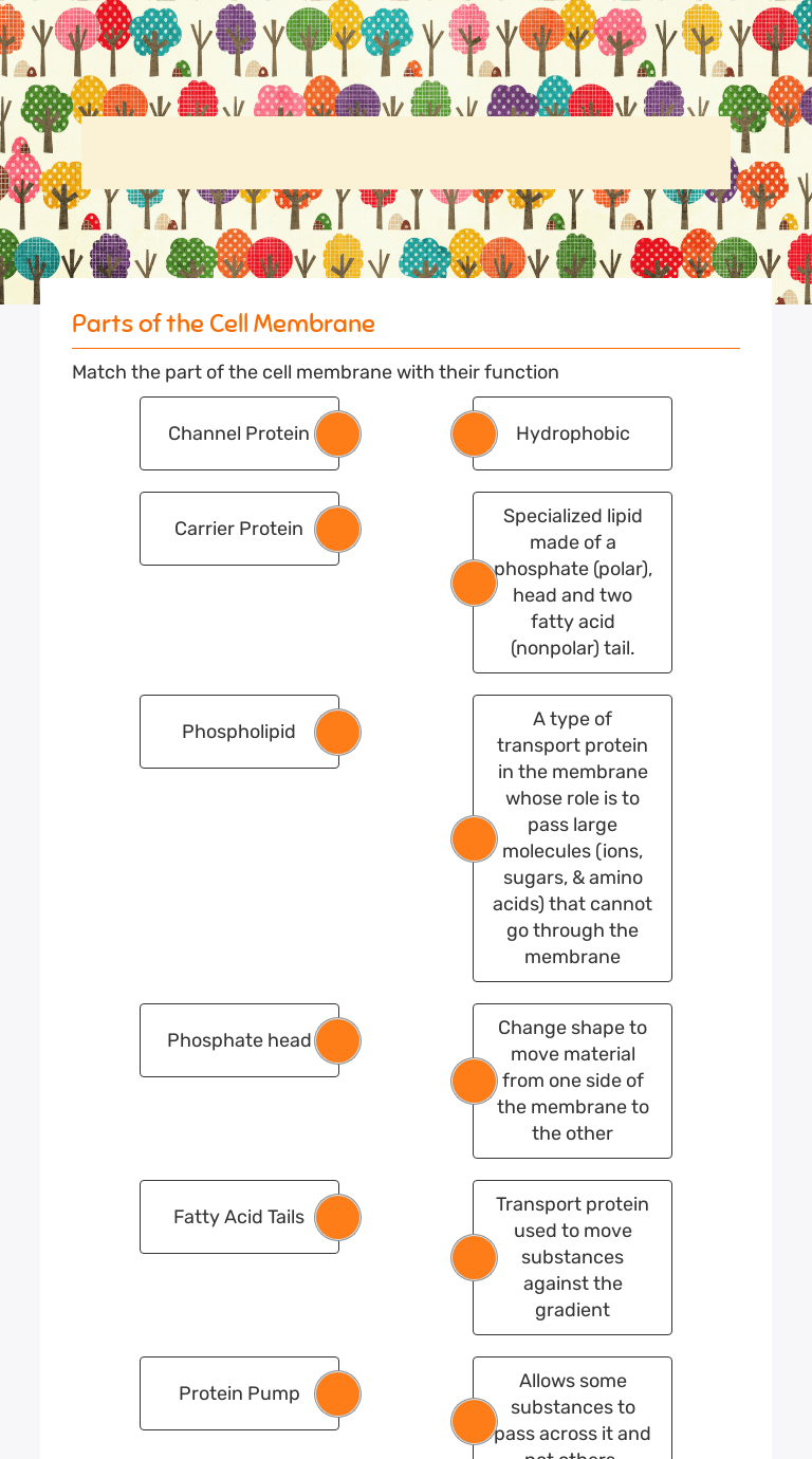 Cell membrane and cell transport