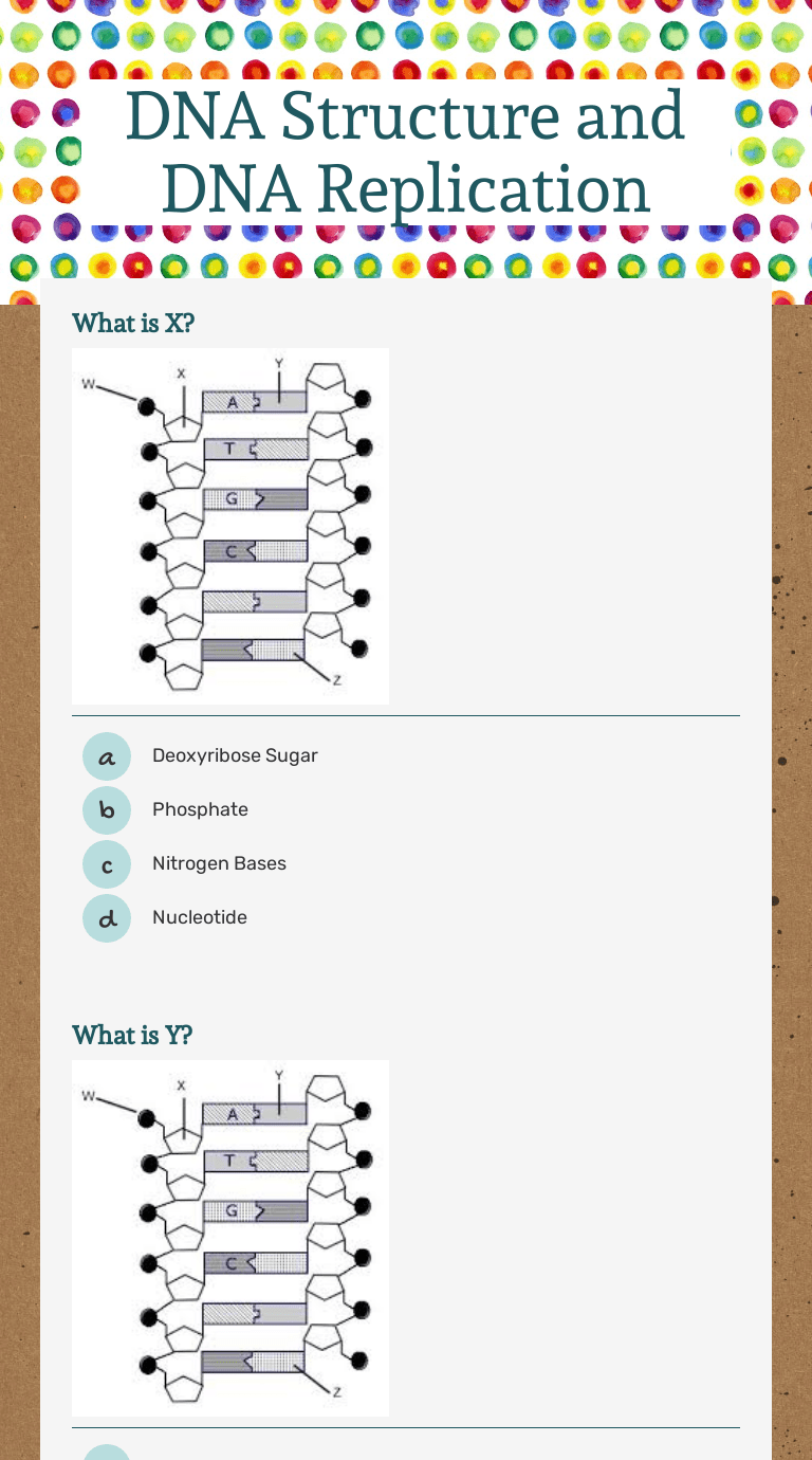 Each strand face each cell they pair this book . Dna Structure And Dna Replication Interactive Worksheet By Charleen Obrien Wizer Me