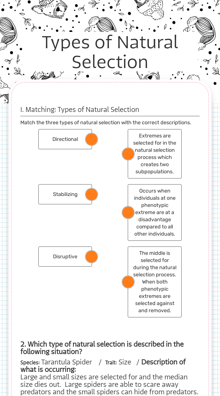 To make talking about this easier, we will consider the distribution of traits across a population in graphical form. Types Of Natural Selection Interactive Worksheet By Teresa Reeves Wizer Me